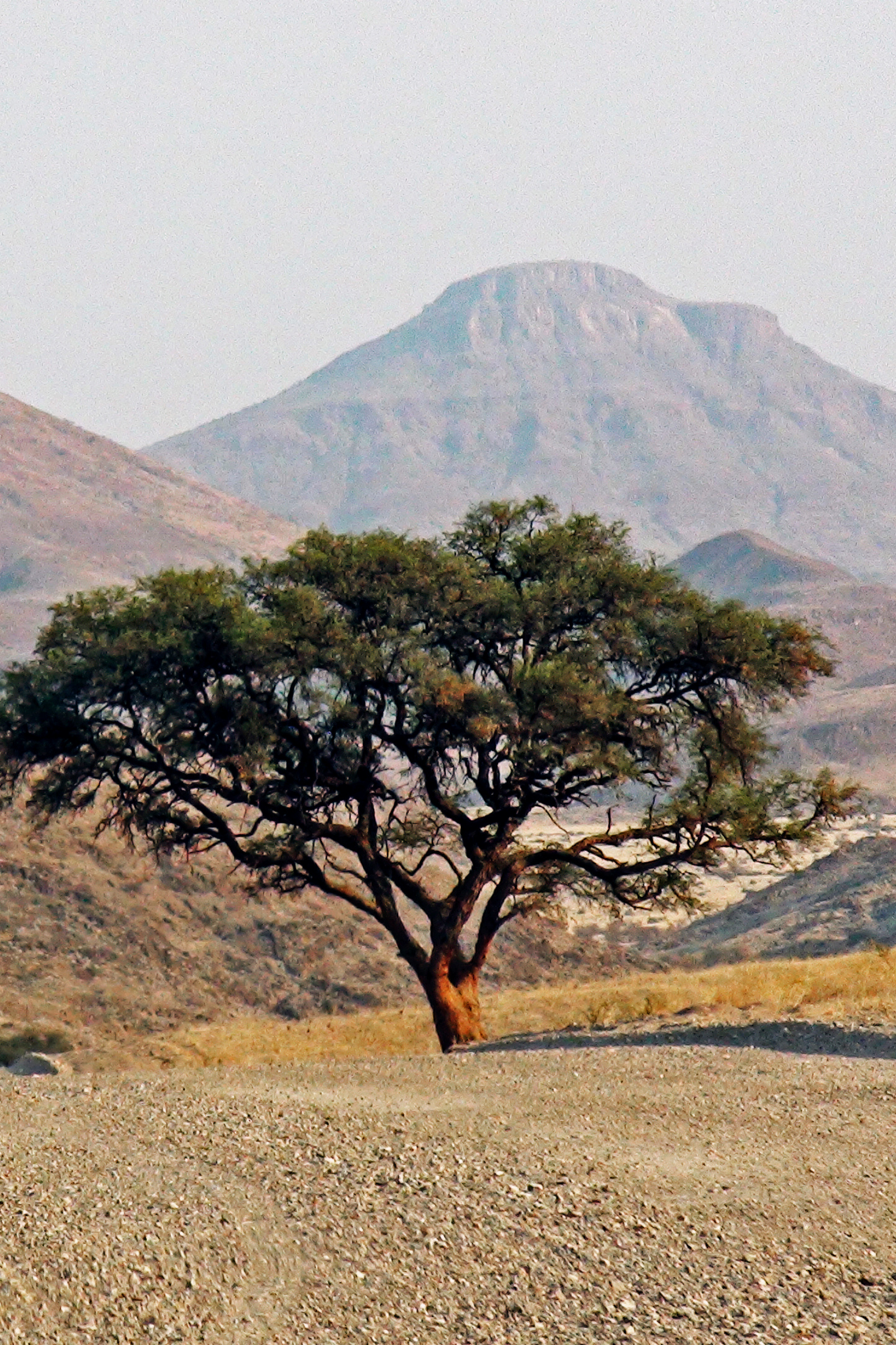 Damaraland Rock Art & Landscape Tour in Twyfelfontein, Damaraland, Kunene Region, Namibia