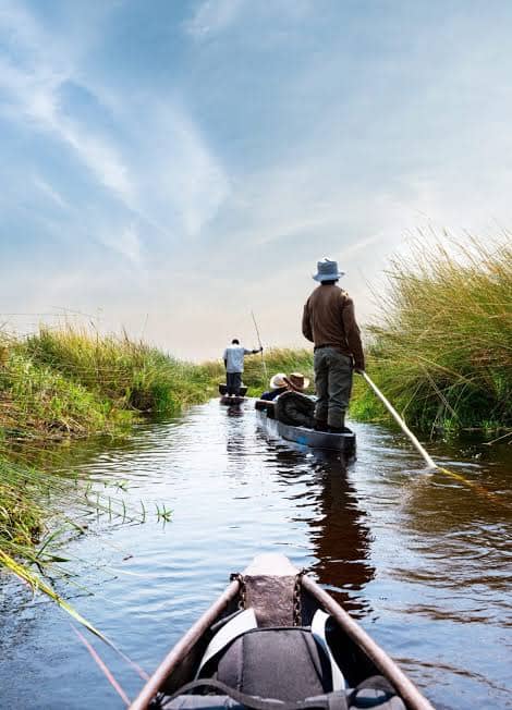 Okavango Delta Mokoro Excursion in Okavango Delta, Botswana, Botswana