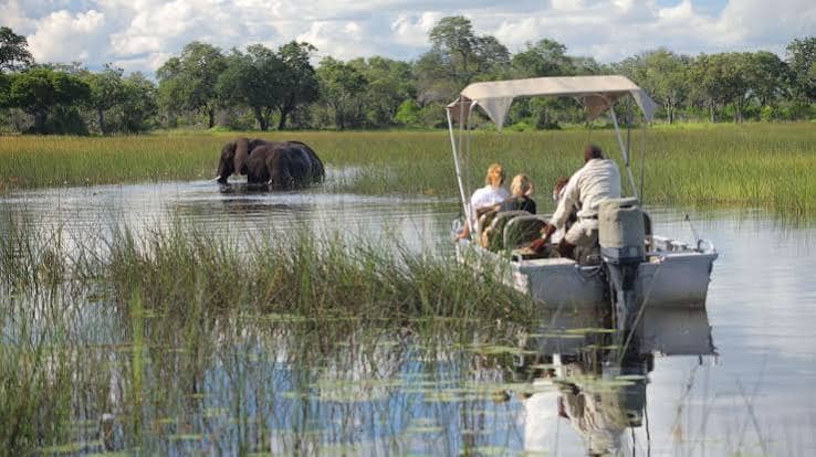 Okavango Delta Motorboat Safari in Okavango Delta, Botswana, Botswana