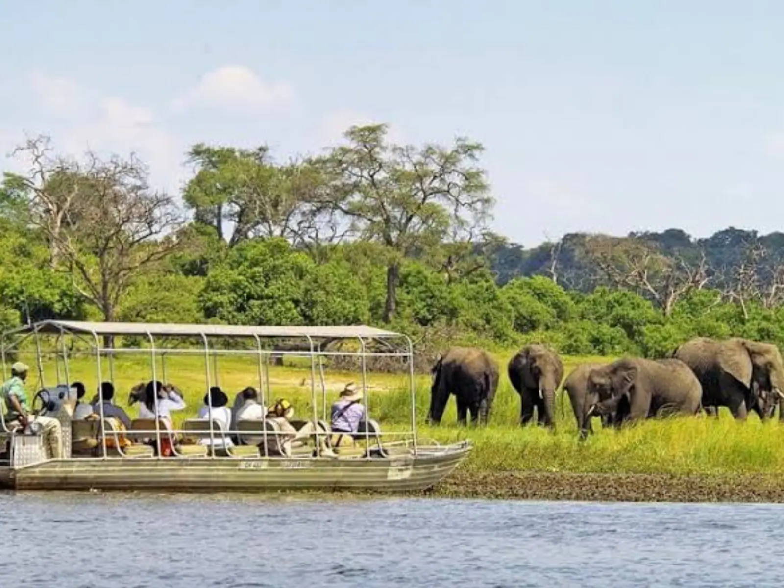 Chobe National Park Full-Day Trip in Chobe National Park, Kasane, Botswana