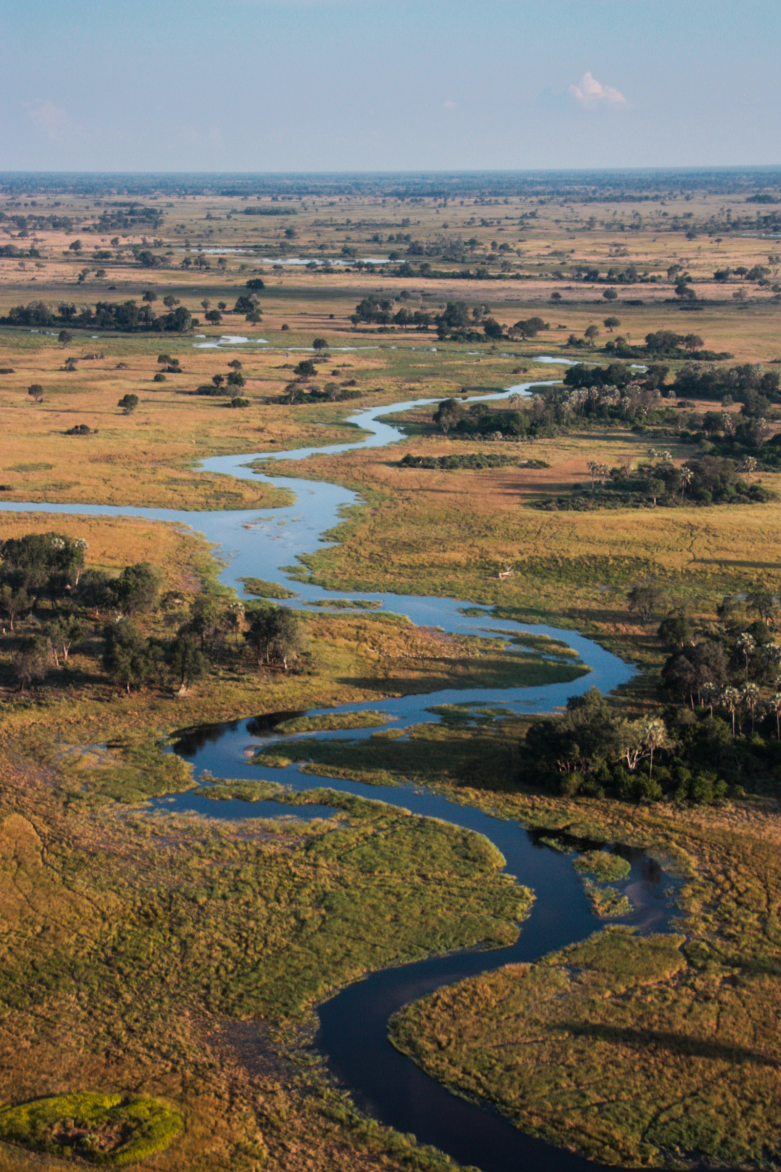 Okavango Delta