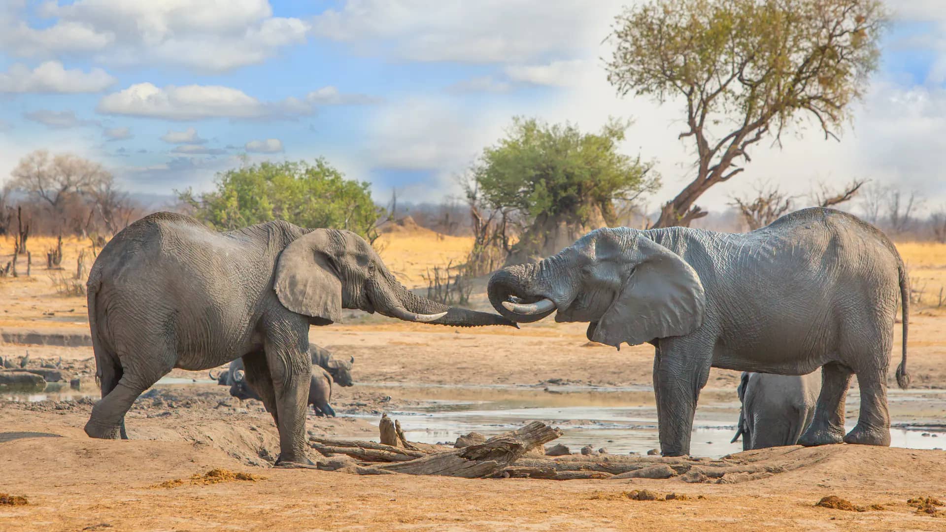 Lake Kariba & Matusadona Escape travel package in Zimbabwe