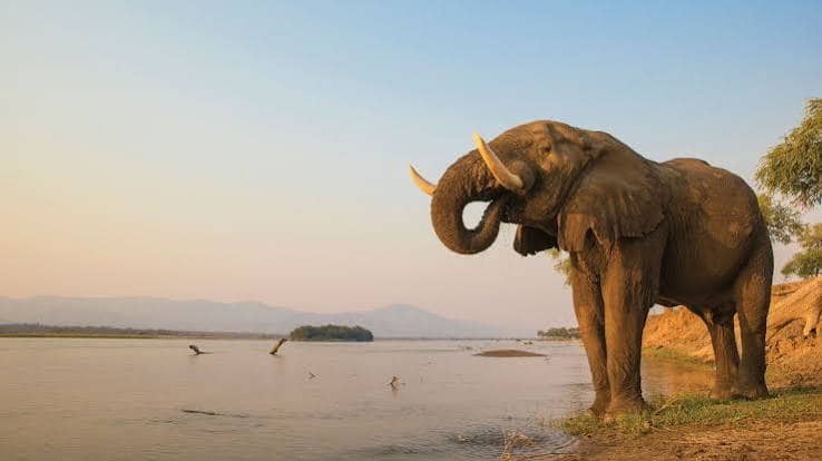 Mana Pools Wilderness travel package in Zimbabwe