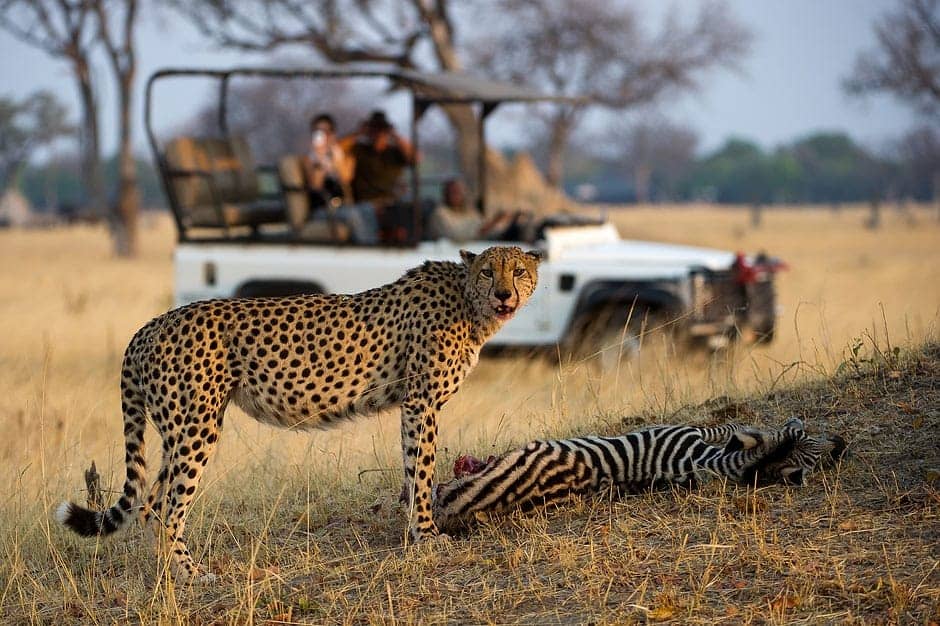Victoria Falls & Hwange Safari travel package in Zimbabwe