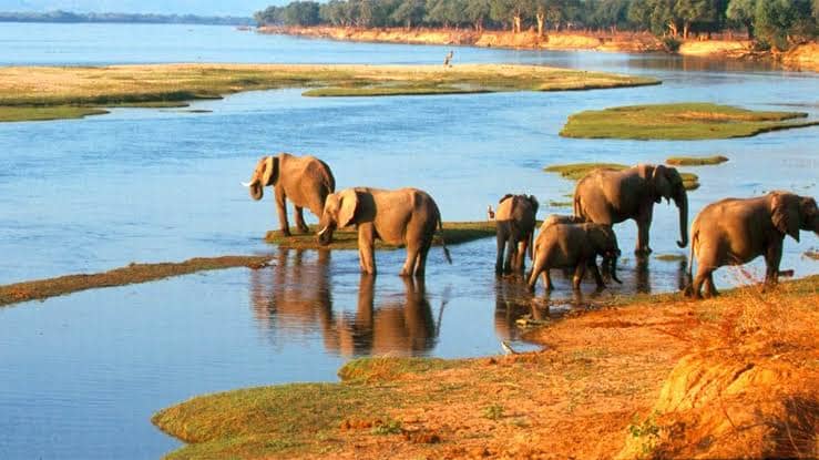 Zimbabwe Safari Trio travel package in Zimbabwe